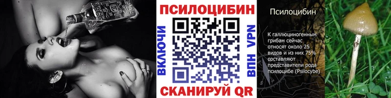 Галлюциногенные грибы мицелий мориарти формула Окуловка